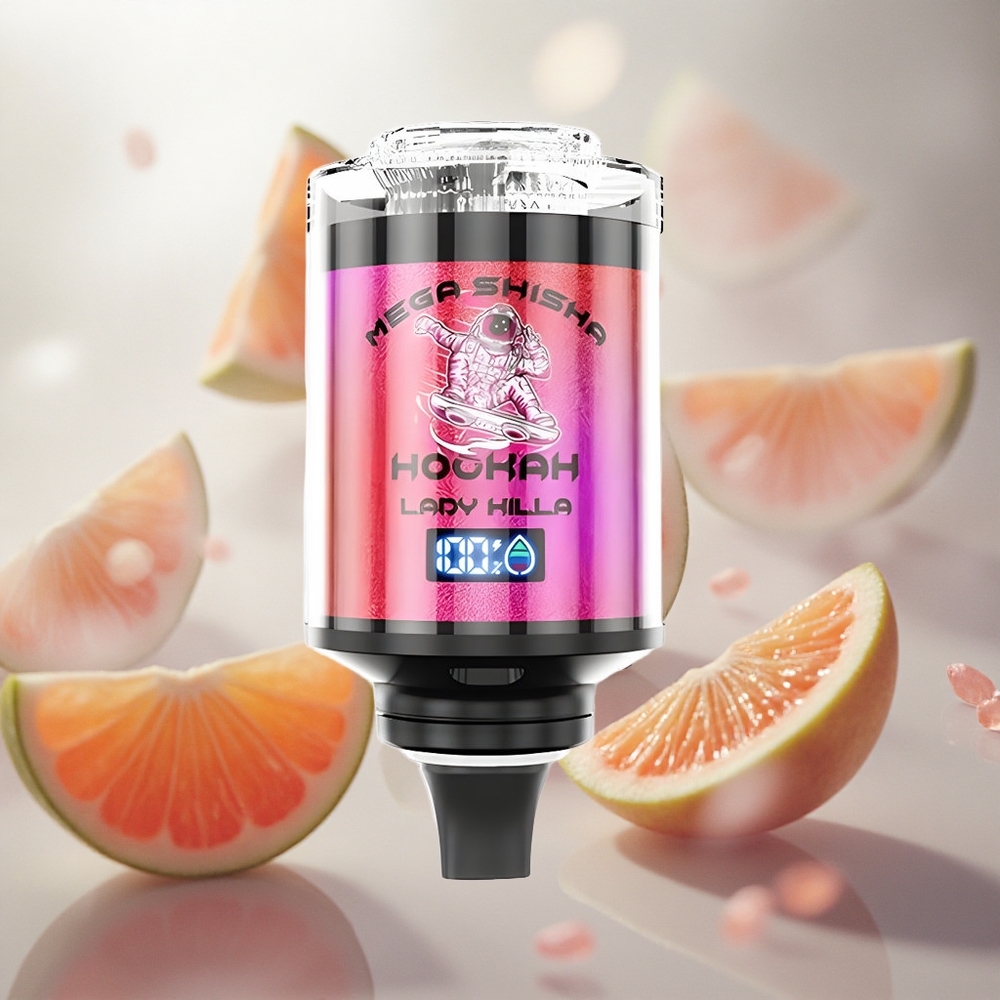 JNR Mega Shisha Hookah 100K Desktop Lady Killa 60ml kapacita e-liquidu 2 nikotinu Czech Republic wholesale