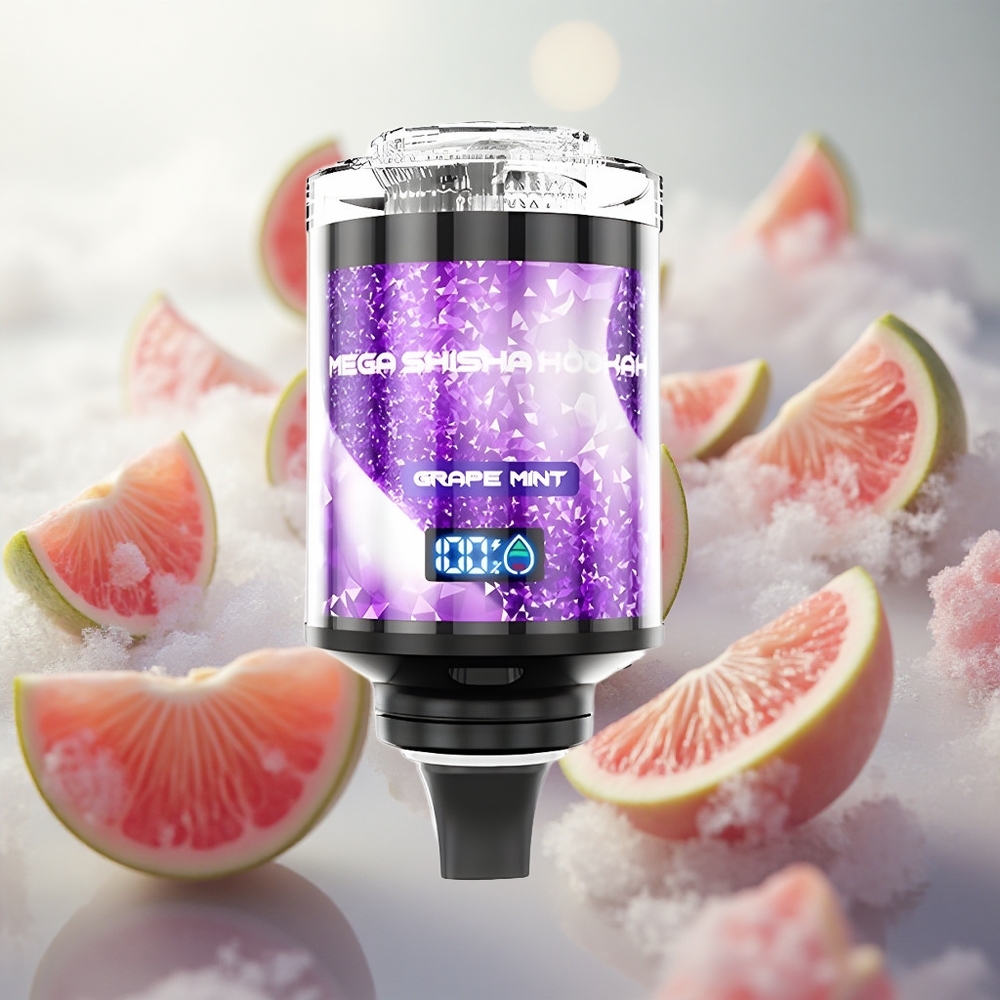 JNR Mega Shisha Hookah 100K Grape Mint Interaktivní Chytrá Obrazovka 2 nikotinu Czech Republic wholesale
