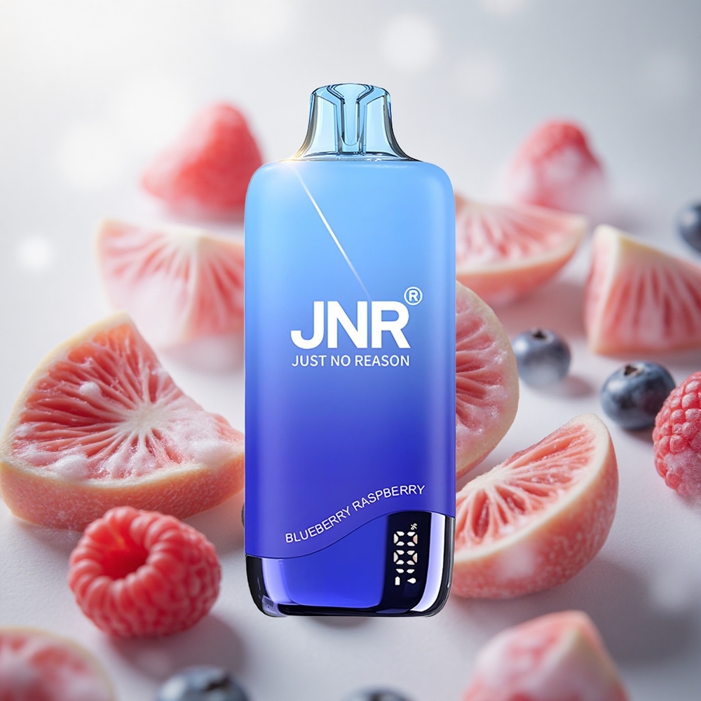JNR Rainbow 10500 Puffs Jednorázová Vape Borůvka Malina 18ml nádrž na e-liquid Czech Republic wholesale