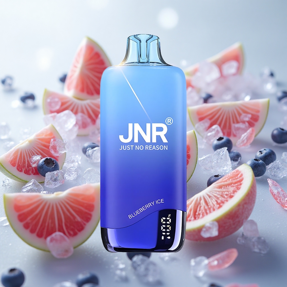 JNR Rainbow 10500 Puffs Jednorázová Vape Borůvková Mražená 18ml Nádrž na e-liquid Czech Republic wholesale
