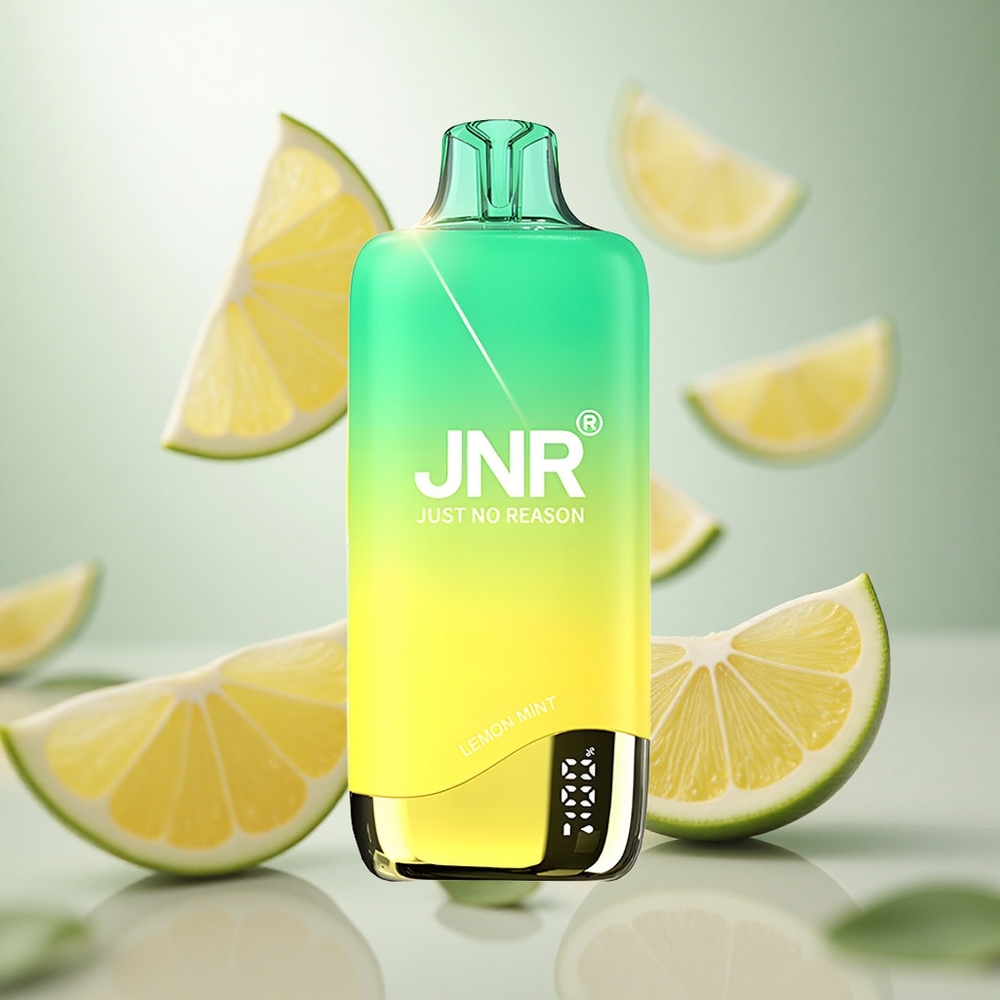 JNR Rainbow 10500 Puffs Jednorázová Vape Citrónová Máta 18ml Nádrž na e-liquid Czech Republic wholesale