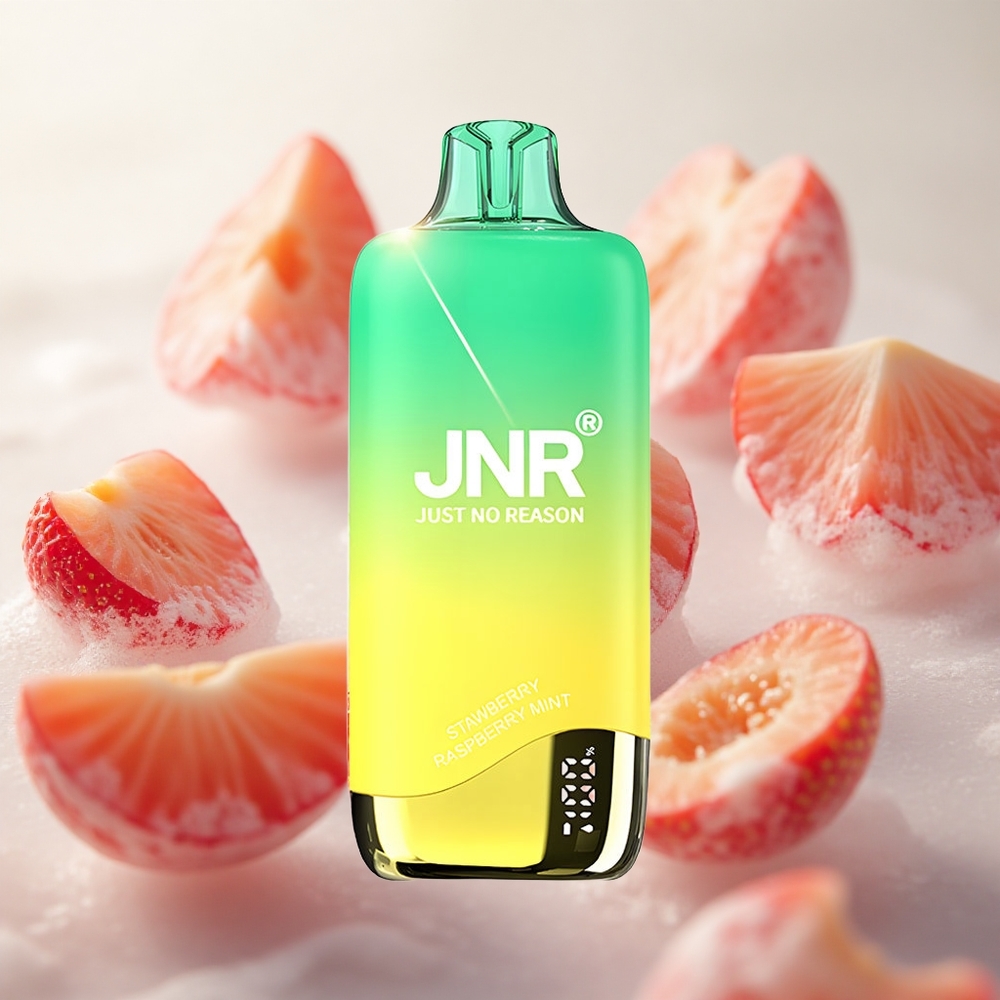 JNR Rainbow 10500 Puffs Jednorázová Vape Jahoda-Broskvová Měta 18ml e-Liquid Tank Czech Republic wholesale