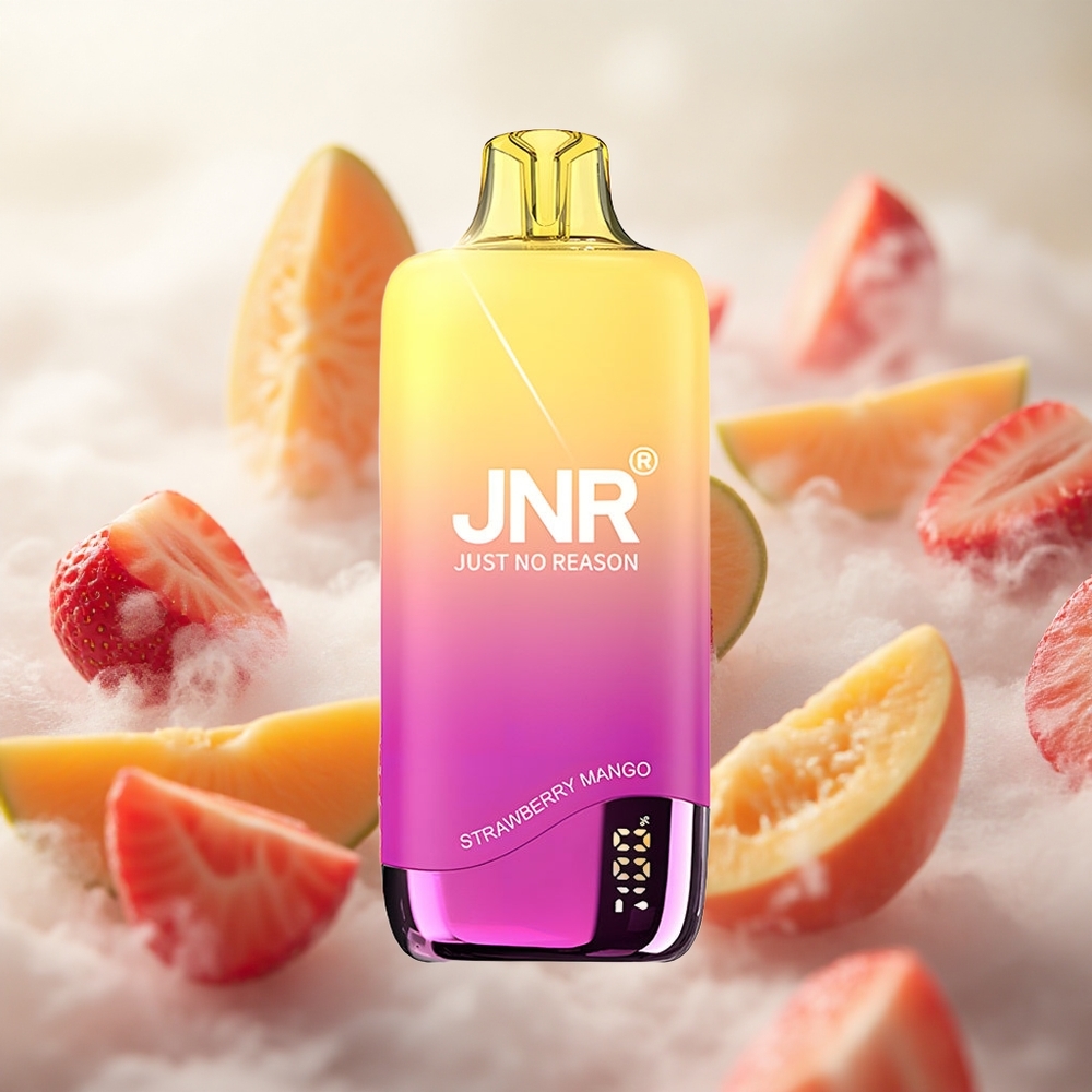 JNR Rainbow 10500 Puffs Jednorázová Vape Jahoda Mango 18ml nádrž na e-liquid Czech Republic wholesale