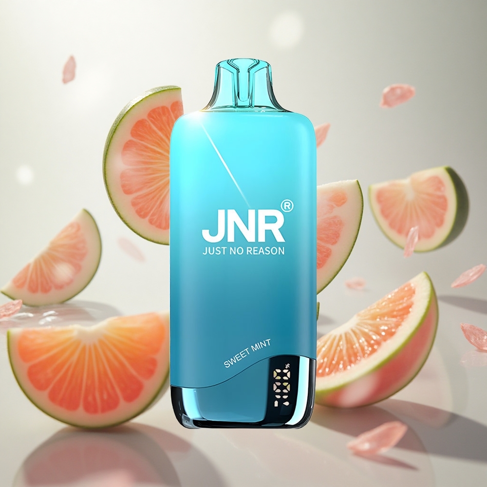 JNR Rainbow 10500 Puffs Jednorázová Vape Sladká Máta 18ml e-Liquid Tank Czech Republic wholesale
