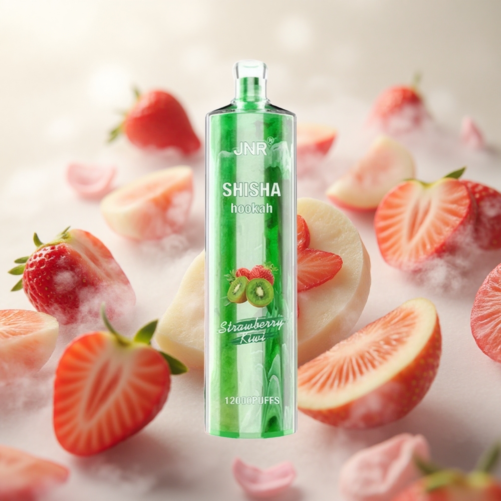 JNR Shisha Hookah 12000 Puffs Jahody a Kiwi 24ml kapacita e-liquidu Czech Republic wholesale