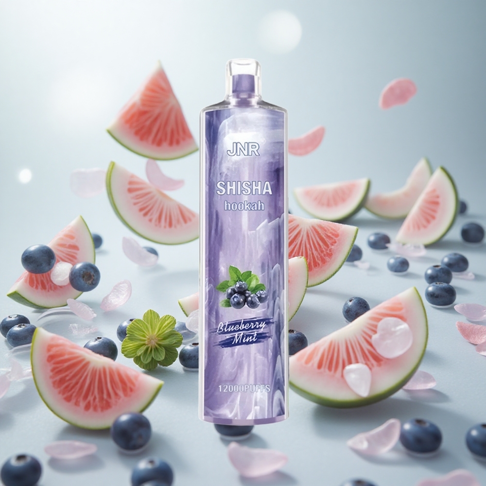 JNR Shisha Hookah 12000 Puffs Jednorázová Vape Borůvka Máta 24ml Kapalina Objem Czech Republic wholesale