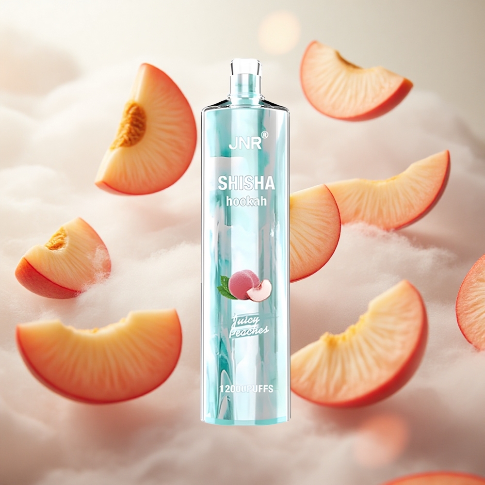 JNR Shisha Hookah 12000 Puffs Jednorázová Vape Juicy Peaches 24ml Kapacita e-liquidu Czech Republic wholesale