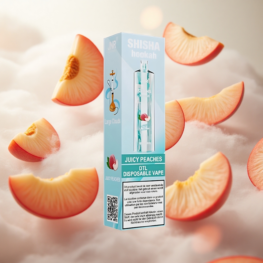 JNR Shisha Hookah 12000 Puffs Jednorázová Vape Juicy Peaches 24ml Kapacita e-liquidu Czech Republic wholesale