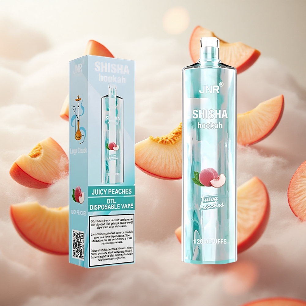 JNR Shisha Hookah 12000 Puffs Jednorázová Vape Juicy Peaches 24ml Kapacita e-liquidu Czech Republic wholesale