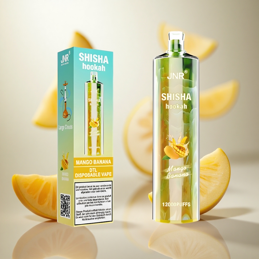JNR Shisha Hookah 12000 Puffs Mango Banán s rychlým nabíjením Type-C velkoobchod Czech Republic