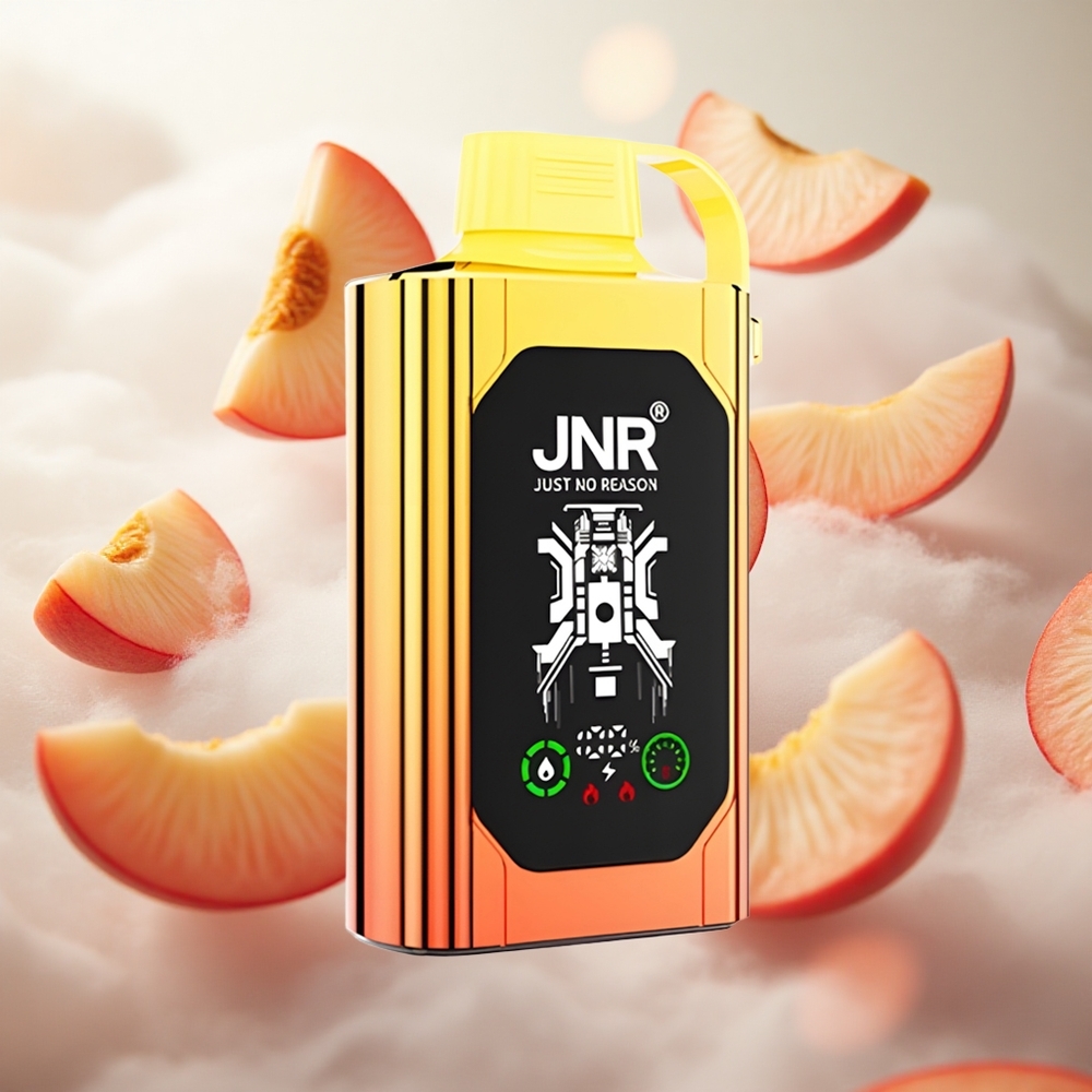 JNR Shisha Hookah Box 20500 Puffs Jednorázová Vape Šťavnaté broskve s kapacitou baterie 1000mAh Czech Republic wholesale