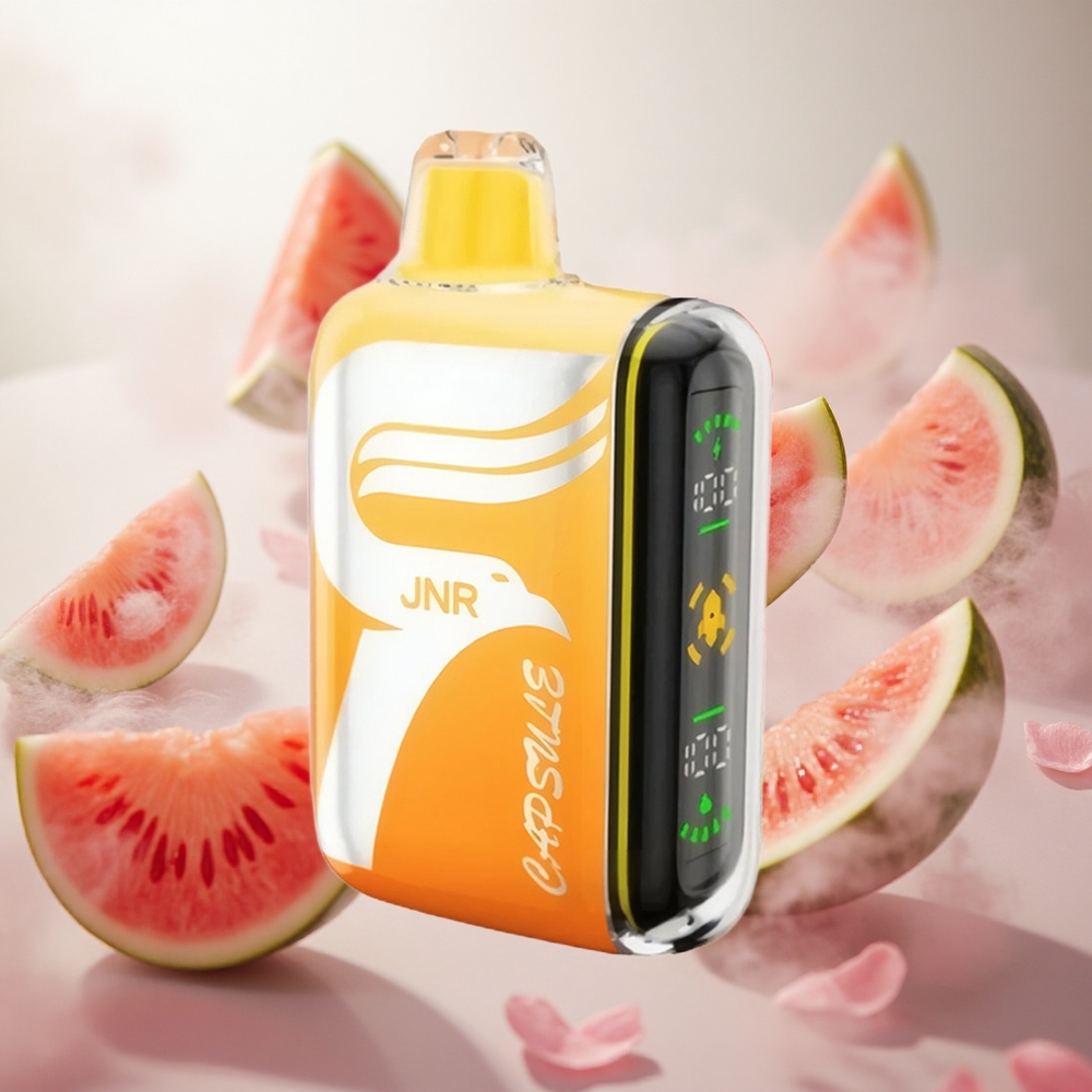 JNR Capsule 15000 Puffs Jednorázová Vape Vodní meloun Irchee 20ml Czech Republic wholesale