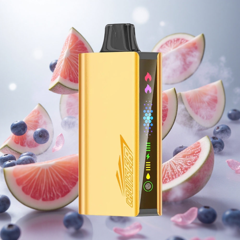 JNR Cruiser 12000 Puffs Blueberry Blast Vestavěná baterie 3500 mAh Czech Republic wholesale