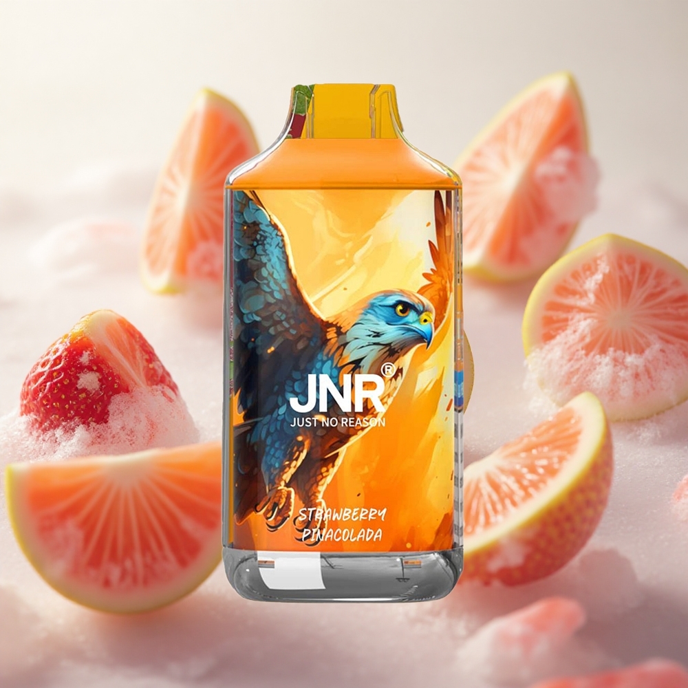 JNR Falcon 16000 Puffs Jednorázová Vape Jahoda Pina Colada 22ml Czech Republic wholesale