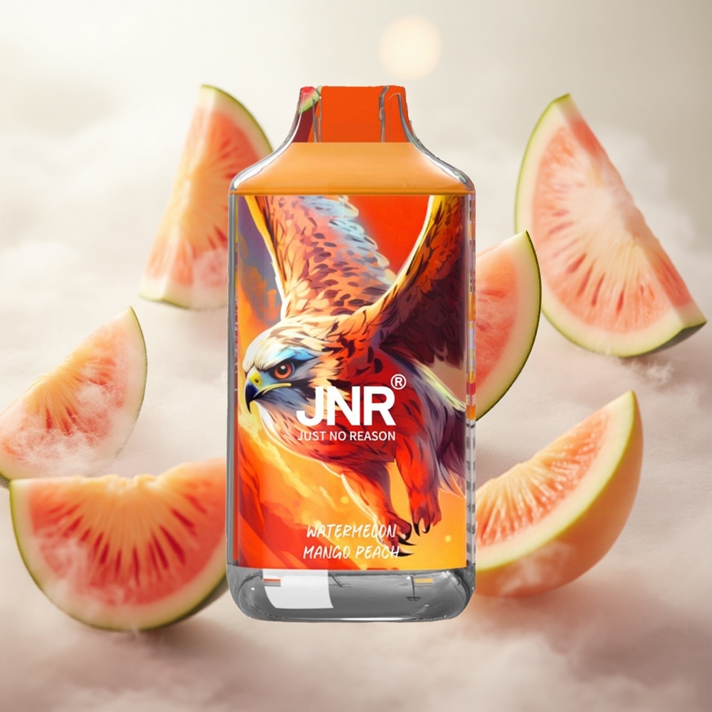 JNR Falcon 16000 Puffs Jednorázová Vape Watermelon Mango Peach 22ml Czech Republic wholesale