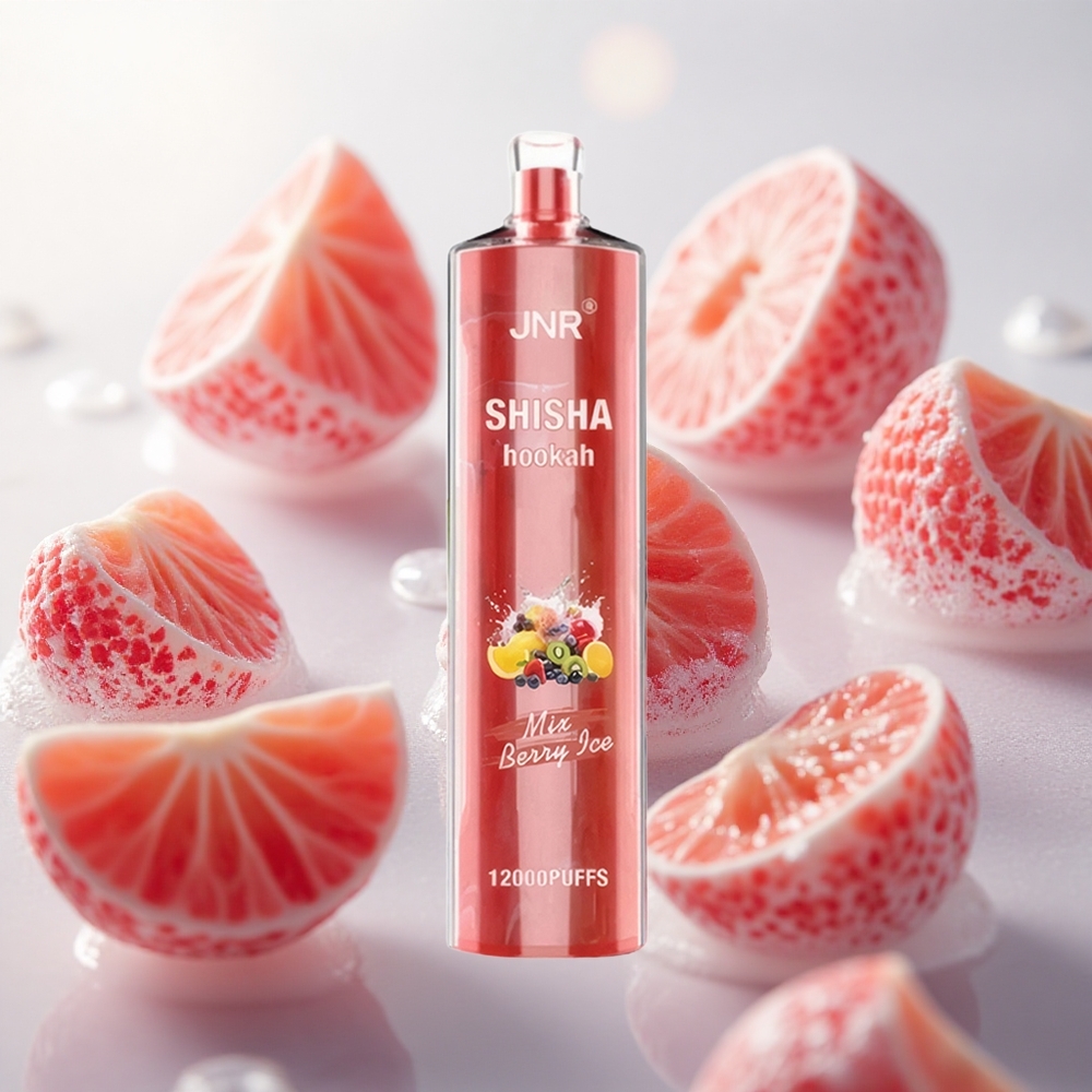 JNR Shisha Hookah 12000 Puffs Jednorázová Vape Berry Ice s kapacitou baterie 750mAh Czech Republic wholesale
