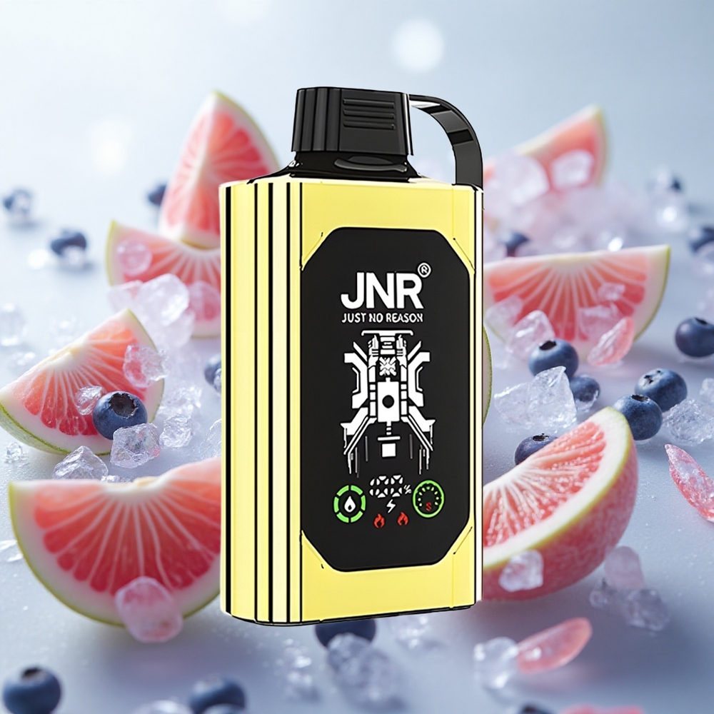 JNR Shisha Hookah Box 20500 Puffs Jednorázová Vape Borůvka s Mátou E-kapalina 25ml Velkoobchod Czech Republic